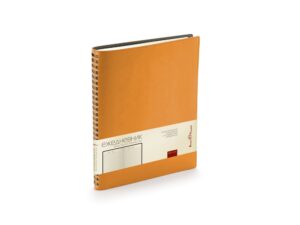 Ежедневник недатированный B5 «Tintoretto New» - В5, оранжевый