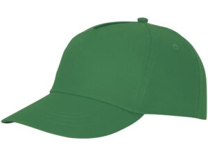Бейсболка «Feniks» - зеленый папоротник